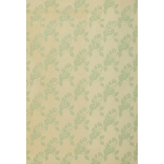 Holly from Tennyson 1900 Endpaper Canvas Art - Unknown (24 x 36)