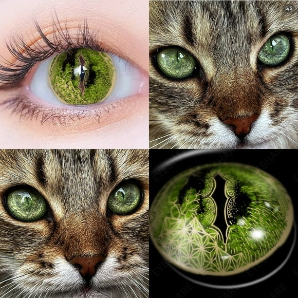 AMARA lentes de contacto para ojos de gato lentes de contacto de Color azul maquillaje anual belleza de Halloween lentillas amarillas