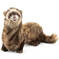 thumbnail image 1 of Folkmanis Ferret Marionnette à Main, 1 of 4