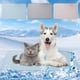 thumbnail image 1 of Colchoneta refrescante para mascotas, cojín de seda de hielo para perros y gatos, manta lavable, antideslizante y transpirable para mayor comodidad. Ideal par NCHKUN, 1 of 9