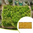 thumbnail image 4 of Bewildely Musgo artificial decorativo sintético de larga duración DIY reemplazo realista hogar jardín Patio césped liquen decoración Plantas Artificiales Amarillo, 4 of 6