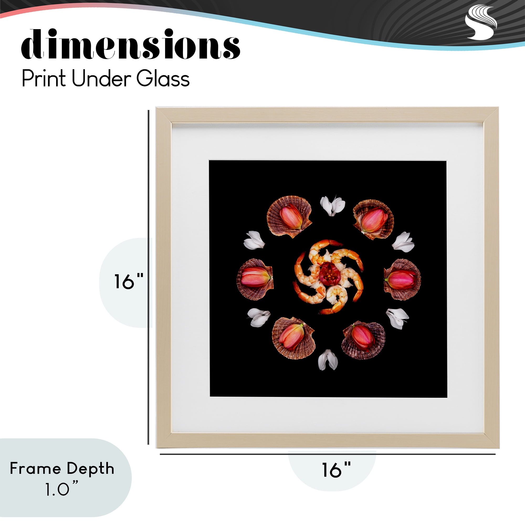 Stupell Industries Seashells & Tulips Symmetry Birch Framed Print Under Glass, design by Beth Adoette