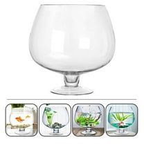 Transparent Aquarium Multi function Betta and Goldfish Desktop Tank for Office Decor