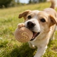 thumbnail image 3 of Forestwhale Spiky Ball Pet Toy 3.1in Money Bag Shaped Squeaky Plush Toy for Teething & Dental Health Cats & Dogs, 3 of 7