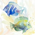 thumbnail image 3 of Loreth, Lanie 20x20 Black Modern Framed Museum Art Print Titled - Tropical Fish Square IV, 3 of 5