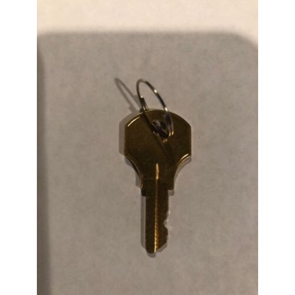 1 ONE NEW SIMPLEX B/CAT 30 STYLE KEY FOR FIRE ALARM PANEL AND PULL STATIONS KEY ONLY