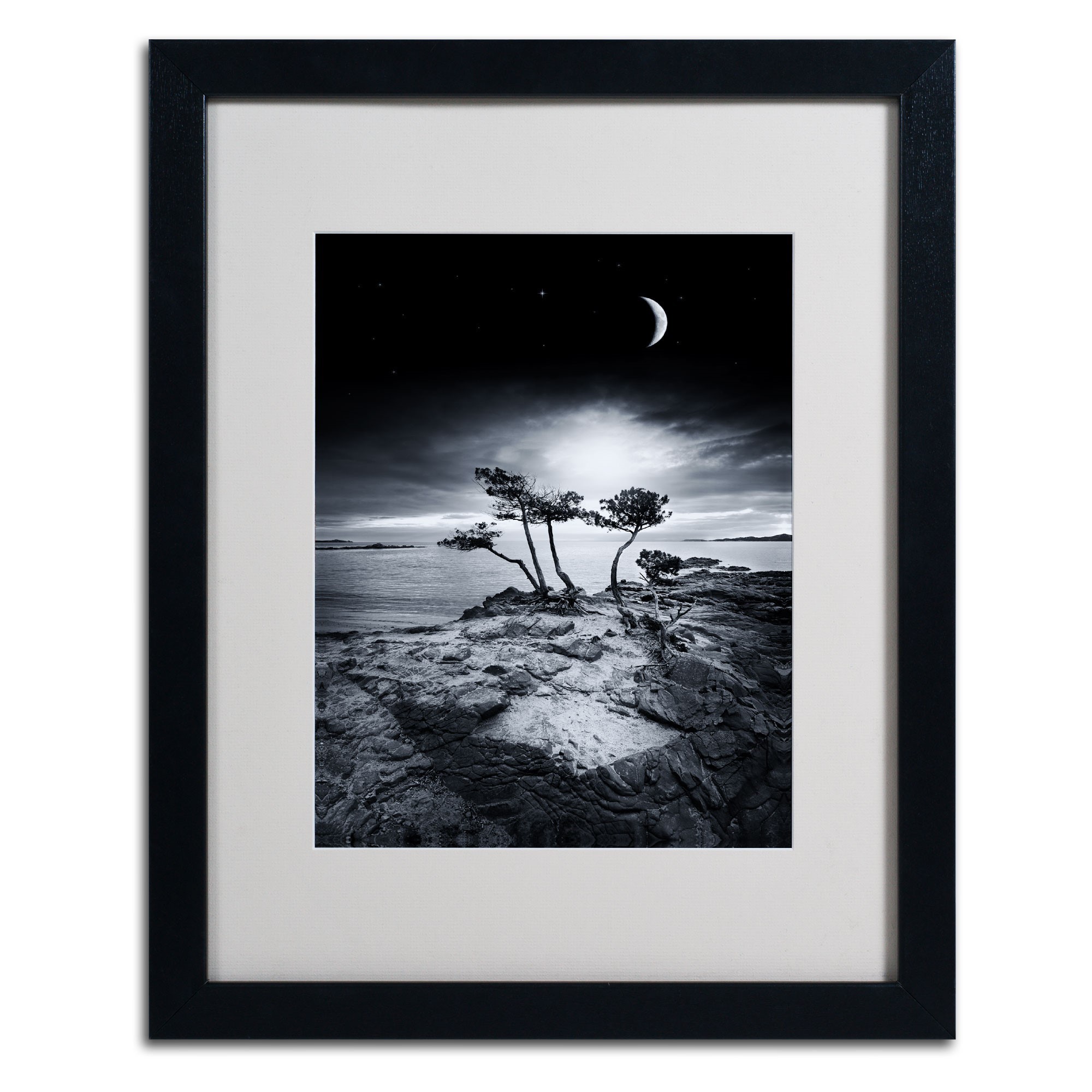 Trademark Fine Art "Emotional High" Canvas Art by Philippe Sainte-Laudy, Black Frame