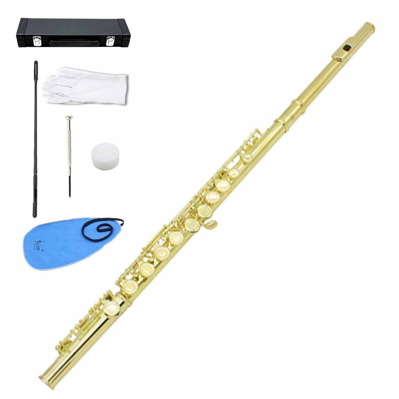SLADE 1 Set 16 Holes C Key Flute with Gloves Mini Screwdriver Padded Case  for Band Orchestra Woodwind Instrument - Walmart.com