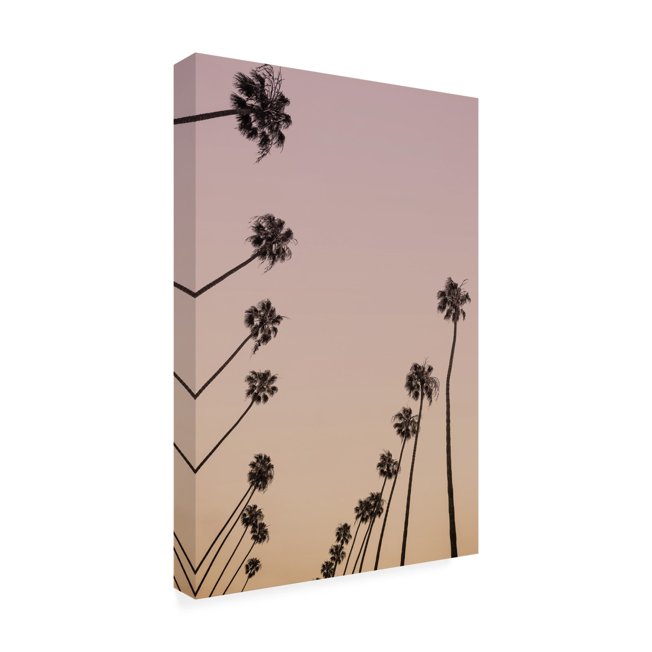 Trademark Fine Art Shot by Clint Cali Cathedrals 05 Canvas Wall Art