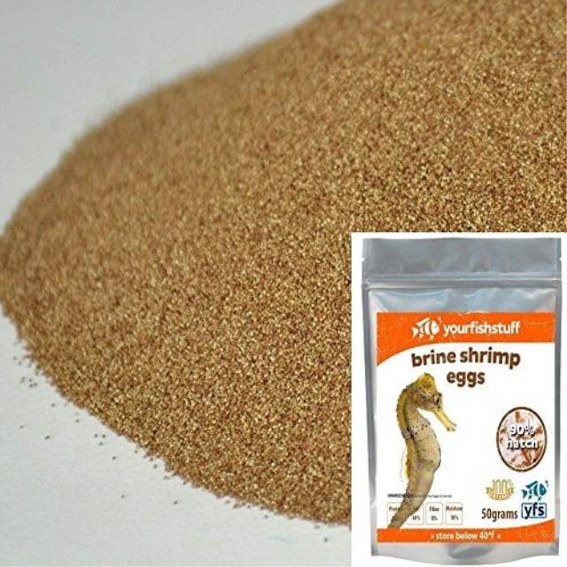 brine shrimp eggs 50 gramm (artemia cysts) of 90 hatch