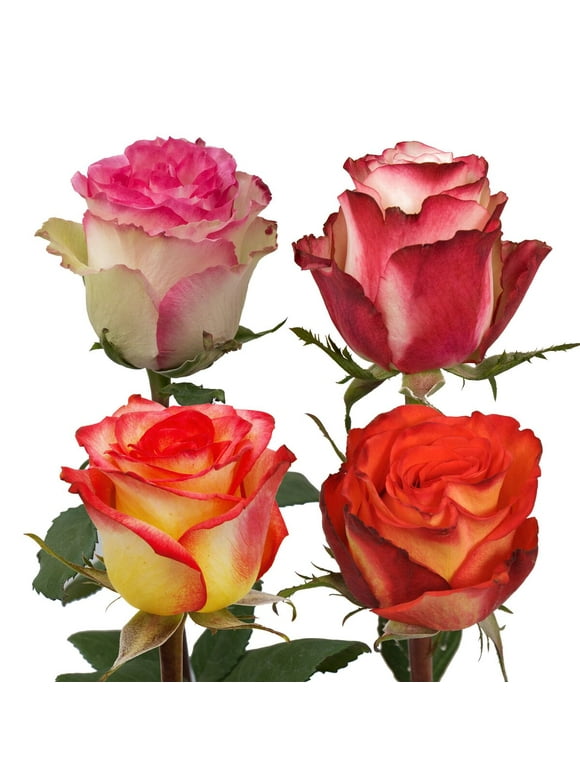 Fresh Flowers in All Flowers