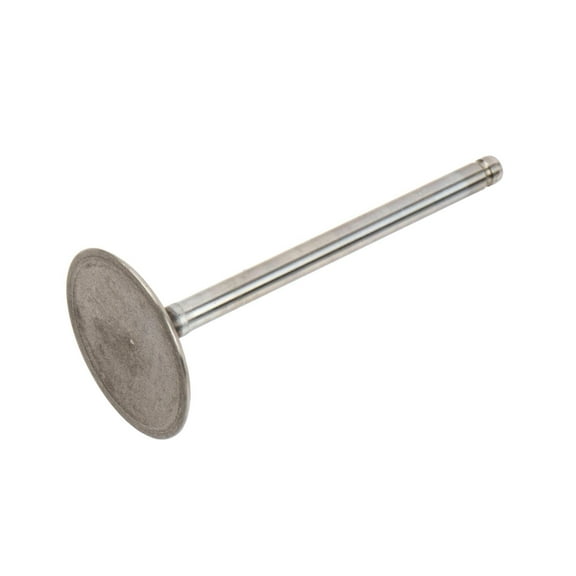 GM Genuine Parts 12563063 Engine Intake Valve