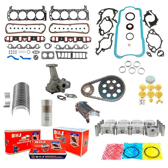 DNJ EK4113BM Master Engine Rebuild Kit Fits Cars & Trucks 1990-1991 Ford Bronco E-150 Econoline E-150 Econoline Club Wagon E-250 Econoline F-150 F-250 5.0L OHV V8 16V 302cid