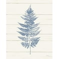 thumbnail image 2 of Hershey, Moira 12x14 Black Ornate Wood Framed with Double Matting Museum Art Print Titled - Fern Print I Blue Crop, 2 of 4