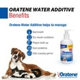 thumbnail image 2 of ZYMOX Oratene Enzymatic Brushless Oral Care Water Additive for Dogs and Cats, 8oz, 2 of 7
