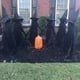 thumbnail image 5 of De Halloween Con Estacas Brujas Iluminadas Al Aire Libre Para Decoraciones De Halloween Vogacara HA044201-01, 5 of 6