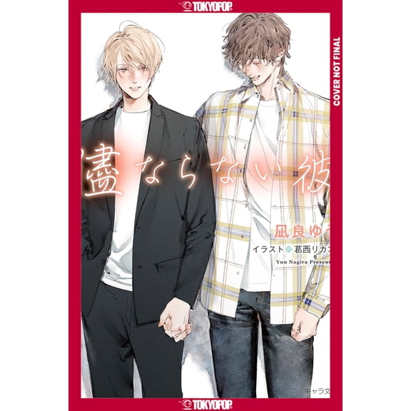 My Uncontrollable Man, Volume 4 (Light Novel) (My Beautiful Man (Light Novel)), (Paperback)