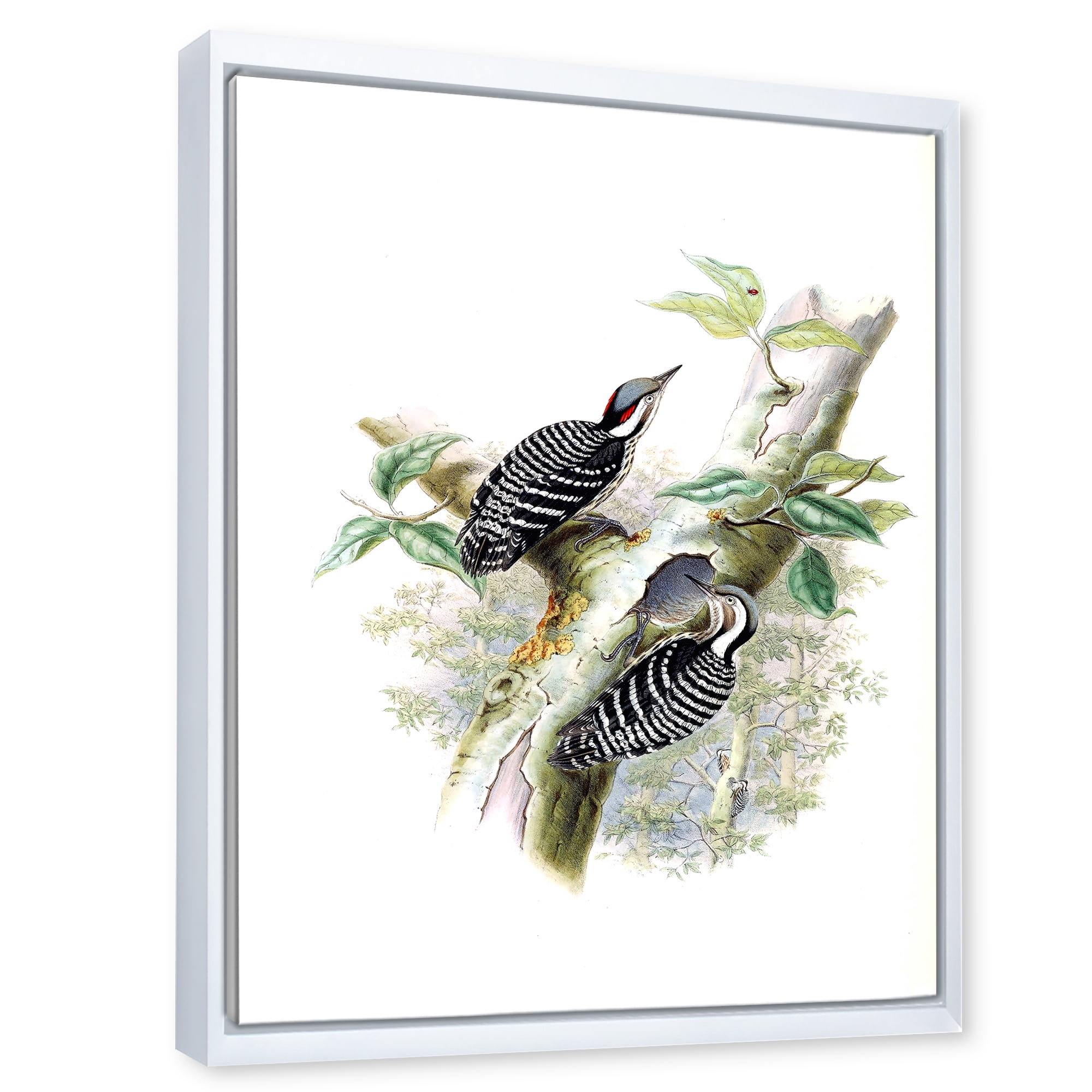 Ancient Birds In The Wild V 30 in x 40 in Framed Painting Canvas Art Print, by Designart