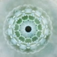 thumbnail image 2 of Weisz, Irene 15x15 Gold Ornate Wood Framed with Double Matting Museum Art Print Titled - Kaleidoscope Succulent II, 2 of 4