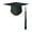 D, variant on erfcxs 2026 Graduation Hat With Tassels Adjustable Unisex For Adult Children