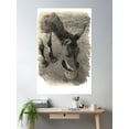 thumbnail image 2 of Mule Poster Wall Art, Modern Wall Decor For Living Room Bedroom, 8x12 UNFRAMED, 2 of 3
