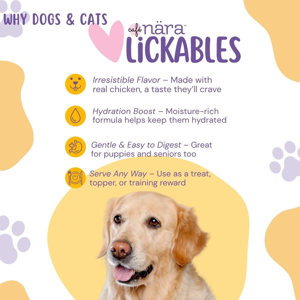 Café Nara Chicken Flavored Lickable Treats for Dogs - Pack of 6