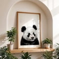 thumbnail image 5 of baby panda bea - Photography Animal Wildlife Black and White Nature Illustration Portrait Unframed Wall Art Print 16 x 24 inches, 5 of 60