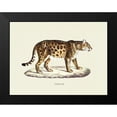 thumbnail image 2 of Schinz, Heinrich Rudolf 18x15 Black Modern Framed Museum Art Print Titled - Jaguar, 2 of 5