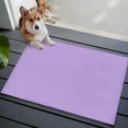 thumbnail image 4 of Violet Purple Area Rugs 2x3 for Living Room, Farmhouse Solid Purple Color Modern Art Non Slip Washable Rug Runner, Low Pile Indoor Floor Carpet Mat Bathroom Rugs for Bedroom, Kids Room, 4 of 9