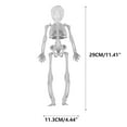 thumbnail image 3 of Nrmvnmi 6 Inch Posable Life Size Human Adult Skeletons Plastic Human Bones with Movable Joints for Halloween Decoration, 3 of 5
