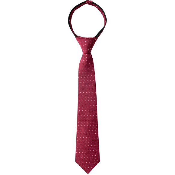 Spring Notion Boys Dotted Woven Zipper Tie