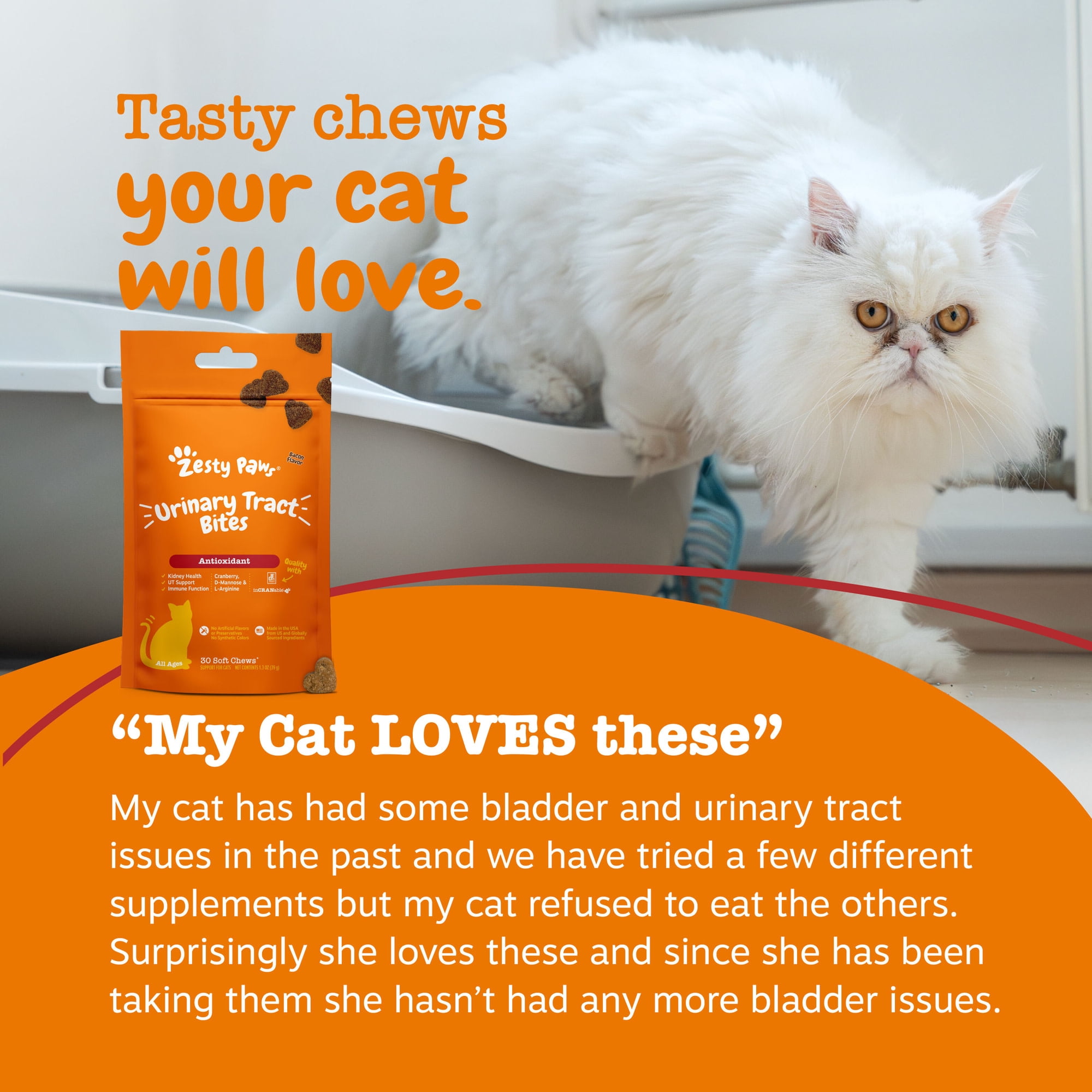 (6 pack) Zesty Paws Bacon Flavored Urinary Tract Bites for Cats, 30 Count