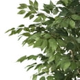 thumbnail image 4 of Harney 6' x 2.5' Artificial Tabletop Ficus Tree, Green, 4 of 5