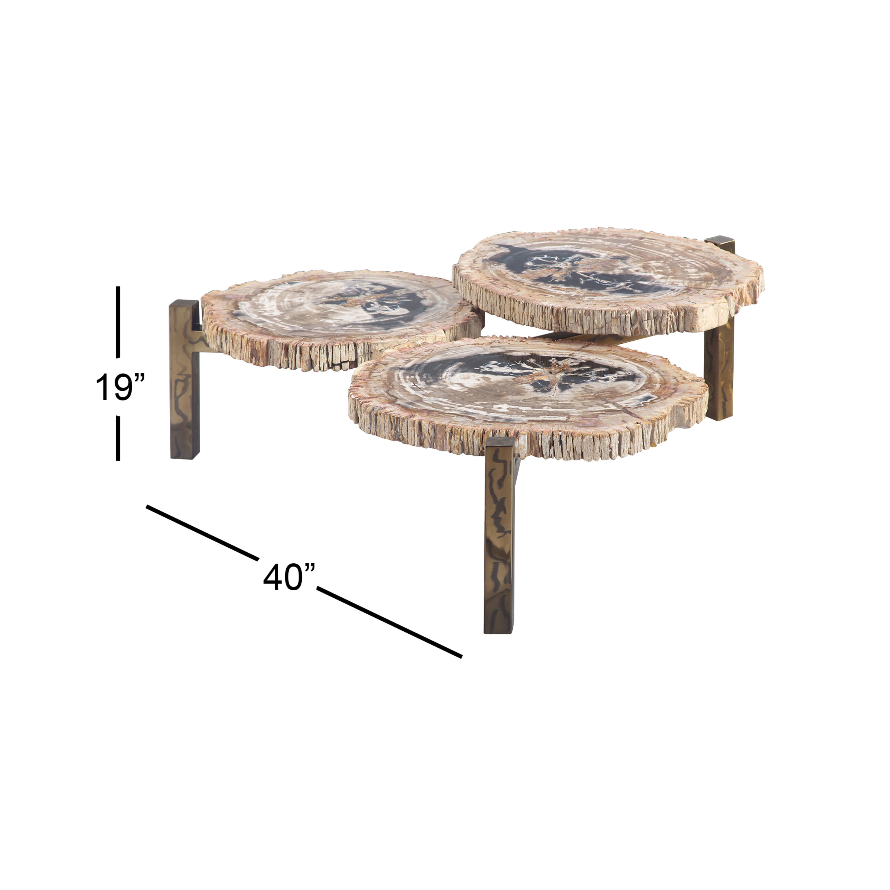 DecMode 40" x 19" Brown Petrified Stone Handmade Petrified Wood Coffee Table with Gold Base, 1-Piece