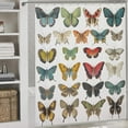 thumbnail image 3 of Butterfly Specimen Retro Theme Shower Curtain, Brown Background Colorful Butterfly Insect Art Bathroom Decoration, Family Bathroom Privacy Waterproof Shower Curtain 12 Hooks 72x84In, 3 of 6
