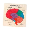 thumbnail image 4 of Rompecabezas de madera para el cerebro, rompecabezas de estructura cerebral, ayuda didáctica, juguete de aprendizaje preescolar, juguete educativo, 4 of 9