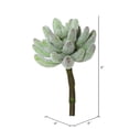 thumbnail image 2 of Vickerman 6" Artificial Frosted Crassula Pick, Set of 3, 2 of 4