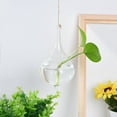 thumbnail image 2 of pdqouc Hanging Glass Ball Vase Flower Plant Pot Terrarium Container Party Wedding Decor for Propagating Hydroponics Plants, Air Plants, 2 of 3