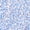 1.Blue Flower, variant on GLOBAL Women’s Flannel Pajama Set 100% Cotton Comfy PJs for Women Long Sleeve Button Front 2-Piece Warm and Cozy Sleepwear,Size S-3XL