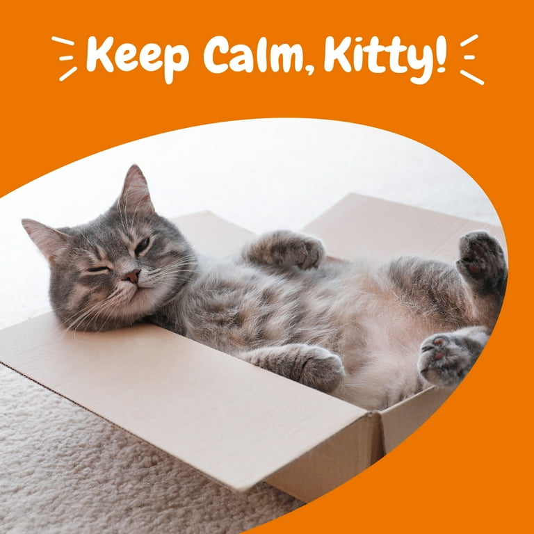 Calming bites top for cats