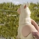 thumbnail image 4 of Juguete de agua de Llama escupiendo 2 uds, pistola de agua de Alpaca divertida, juguete de pulverización de agua de Alpaca de mano, 4 of 6