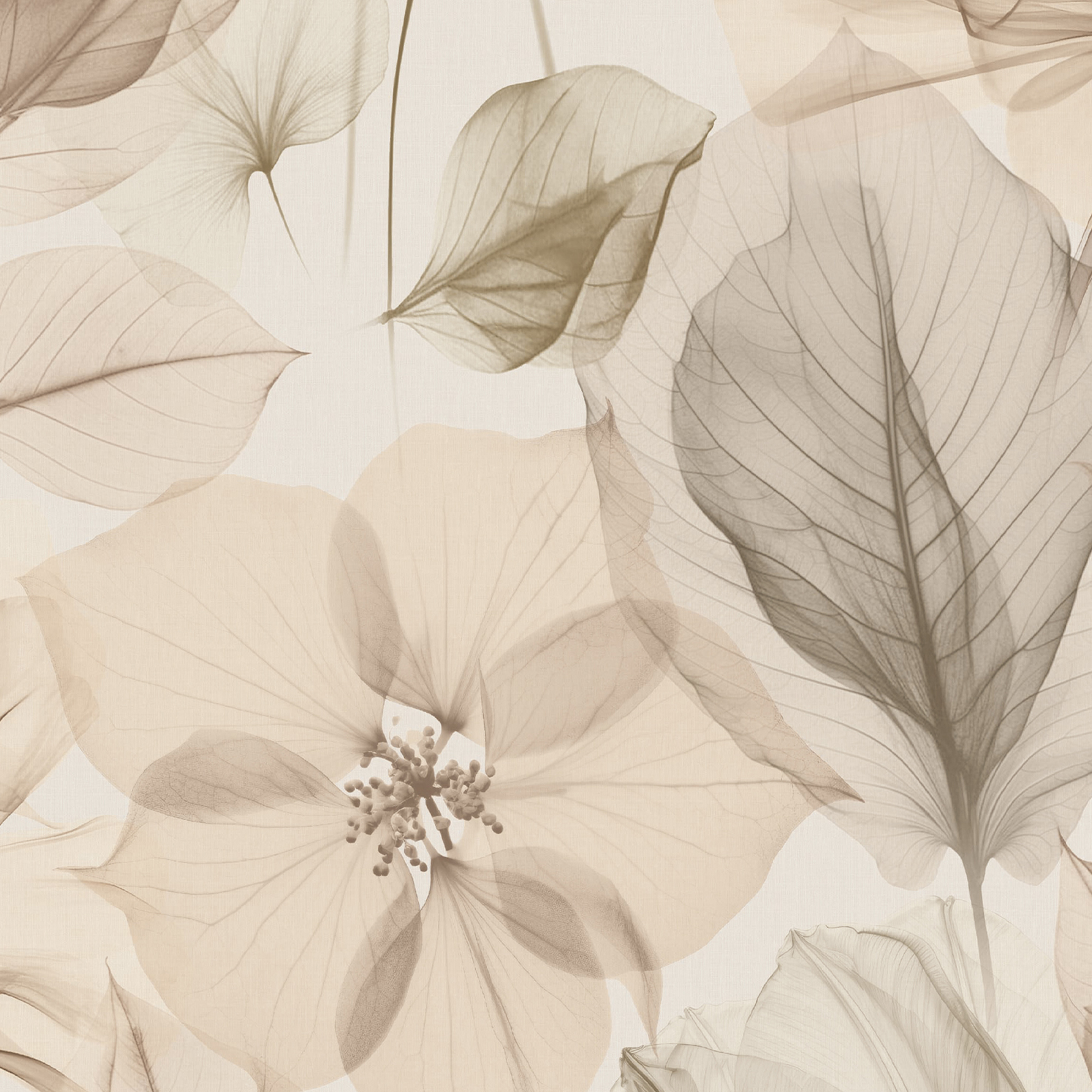 Superfresco Easy Arlington Parchment Wallpaper