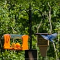 thumbnail image 4 of Birds Choice 2 Arm Complete Pole Package with Squirrel Baffle, Black, 4 of 9