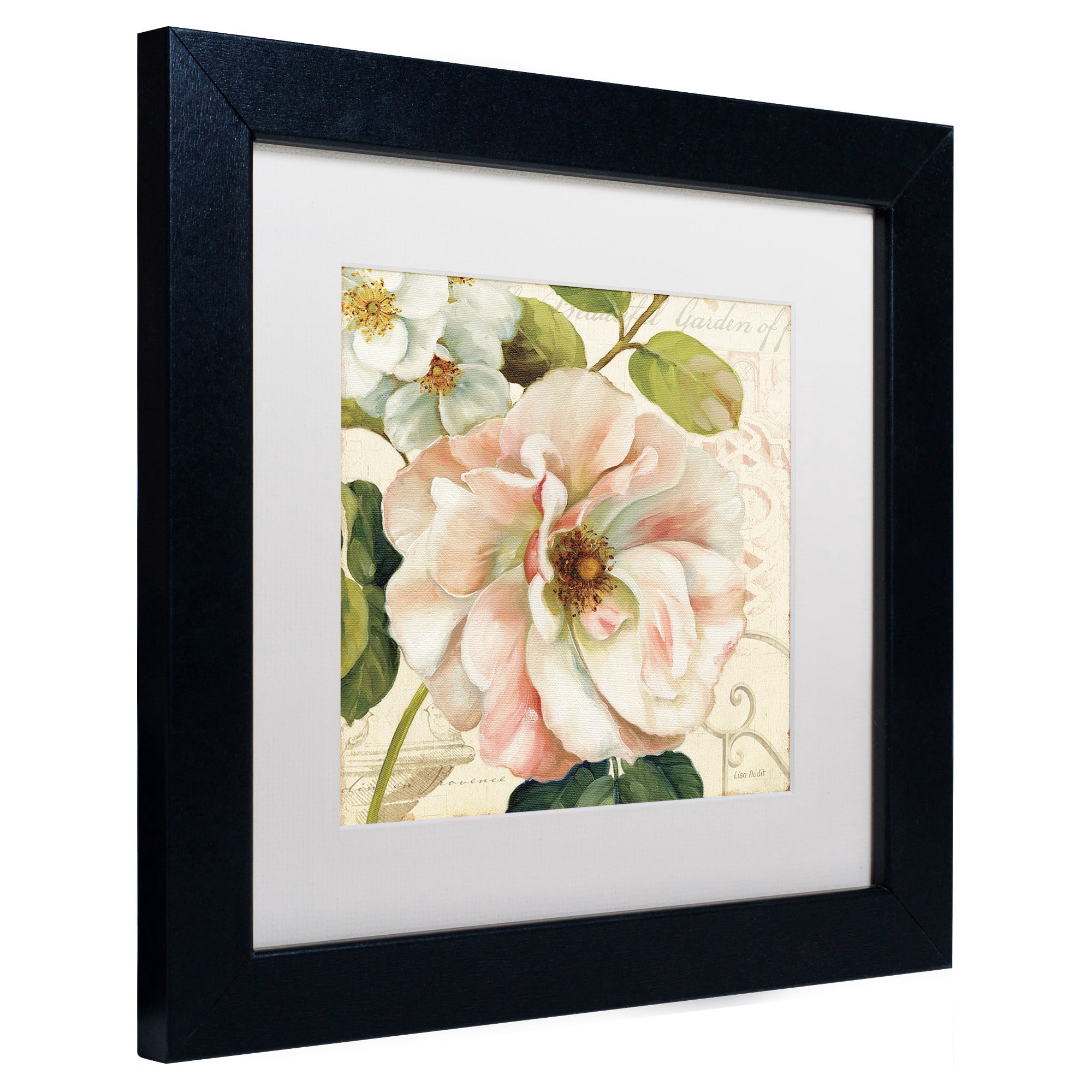 Trademark Fine Art "Les Jardin II" Canvas Art by Lisa Audit, White Matte, Black Frame