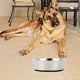 thumbnail image 5 of Comederos de acero inoxidable para perros, cuencos de metal antideslizantes con base de goma, comederos y bebederos para perros pequeños., 5 of 5