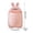 Pink, variant on BCZHQQ Cute Rabbit Shape Storage Box,Wall Mounted Toothbrush Holder Toothpaste Storage Rack Makeup Table Storage Box,Summer Clearance