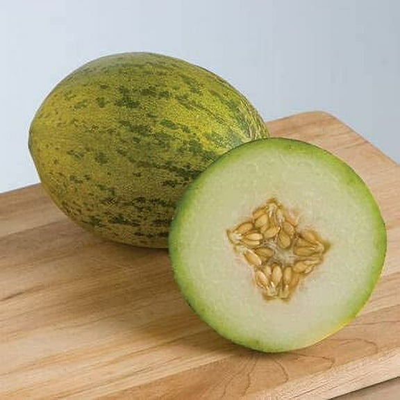 Coconut Melon Seeds for Planting (10 Seeds) - Looks Like a Coconut, Taste Like Honeydew, Lambkin Melon