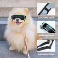 thumbnail image 2 of UOSIA Dog Goggles Sunglasses Small to Medium Breed Puppy Sunglasses,S,Blue, 2 of 6