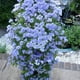thumbnail image 5 of Torre De Flores Montada En La Pared, Contenedor De Flores, Maceta Para Cultivo De Plantas, Torre Vertical, Macetas, Accesorios De Decoración Para El Hogar Inevent HA035282-00, 5 of 6