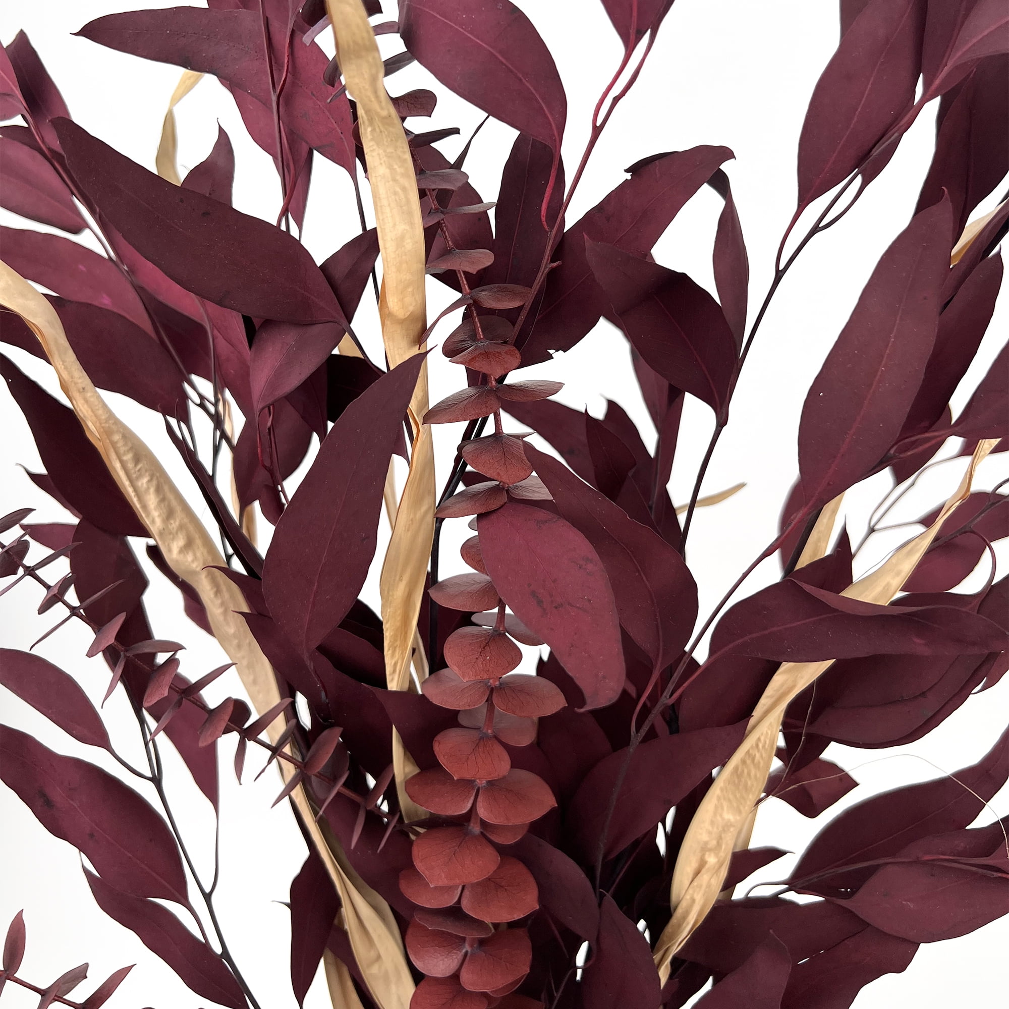 (2 pack) Dried Eucalyptus Mix Red Bouquet